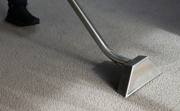 The Magic of a Chem-Dry Carpet Cleaning